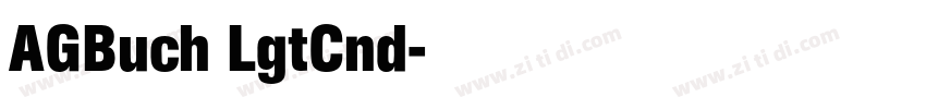AGBuch LgtCnd字体转换
